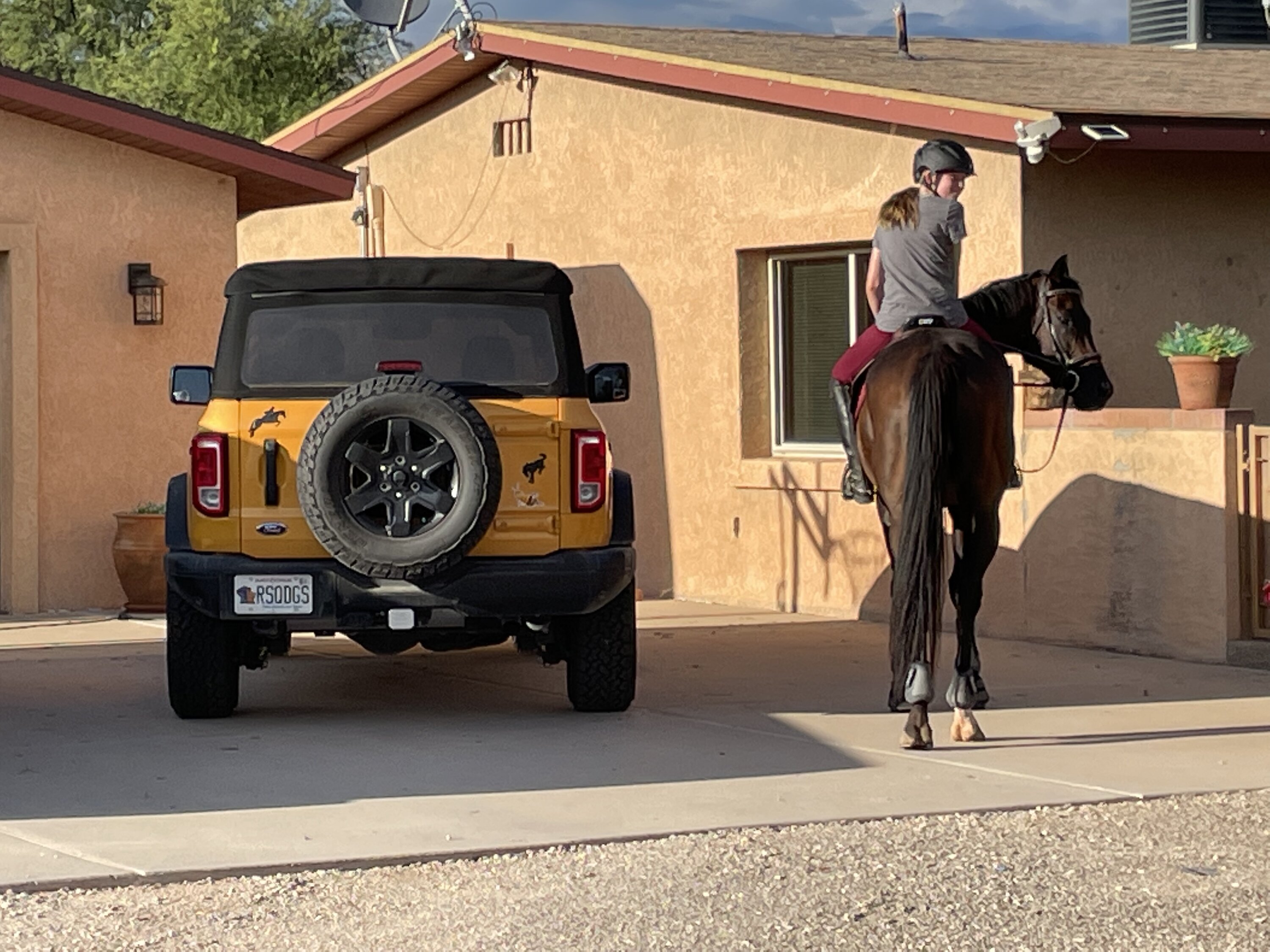 Ford Bronco Anyone else take pictures of your horses together? 1588DC34-6A75-4E98-BE9B-B311285C530A