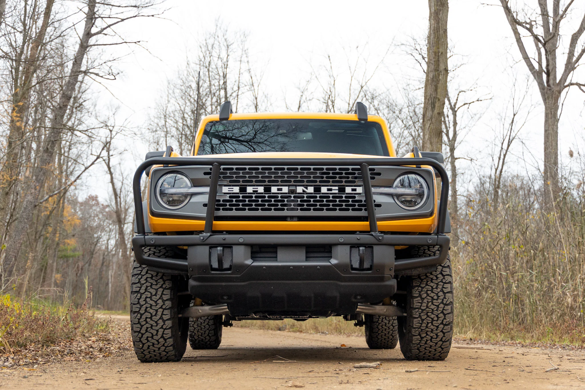Ford Bronco Brush guard questions 1651769872876