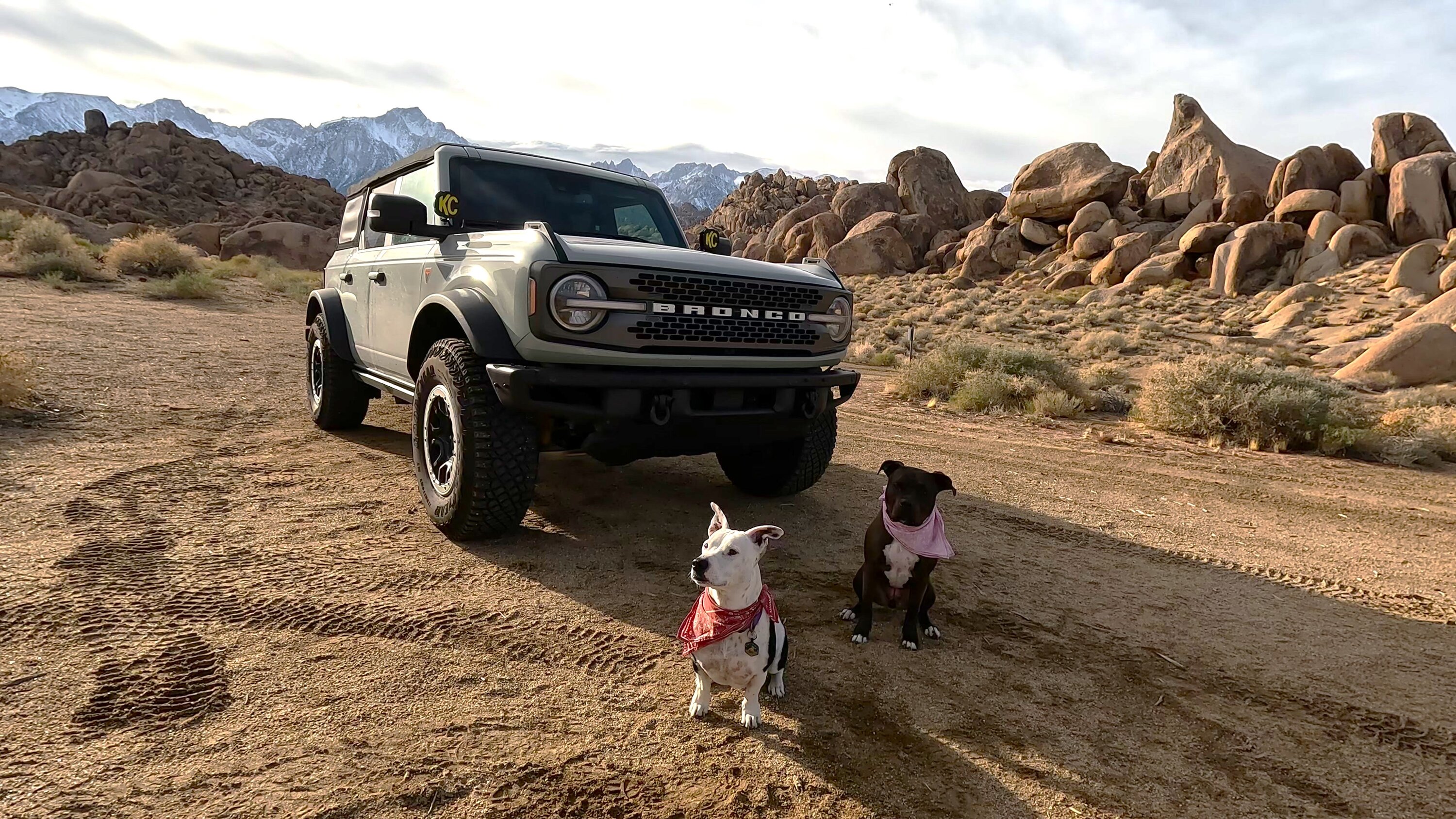 Ford Bronco Finding an EPIC campsite and sleeping in the back of the Bronco - Alabama Hills [pics and video] 1_dogsandbronco