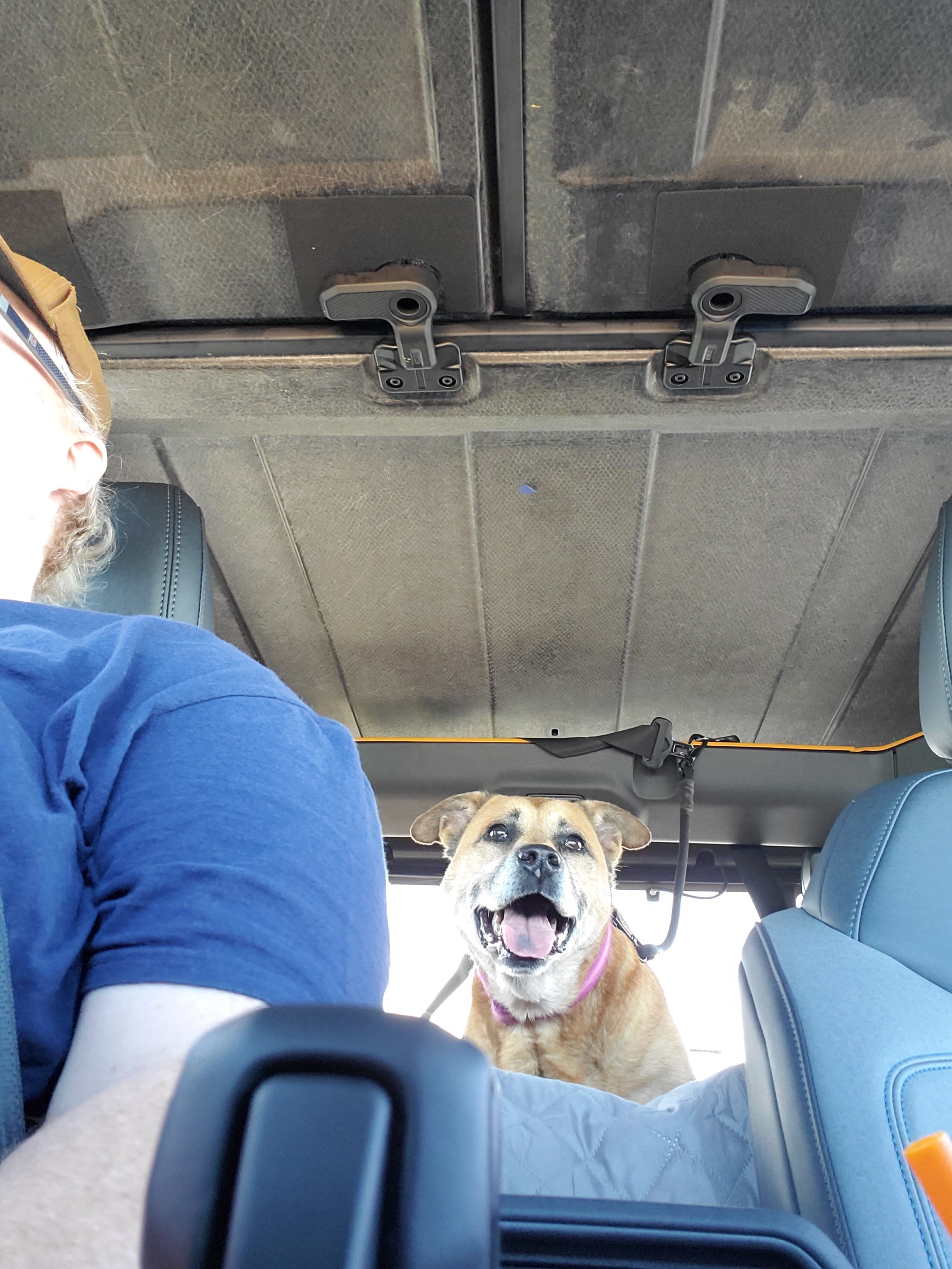 Ford Bronco 🐾 Show Us Your Dog + Bronco Photos! 20220726_153913