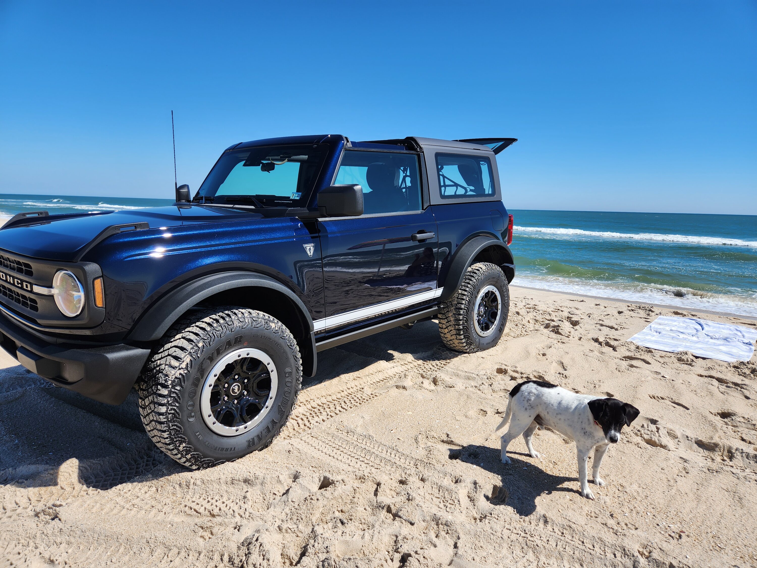 Ford Bronco 🐾 Show Us Your Dog + Bronco Photos! 20220926_123449