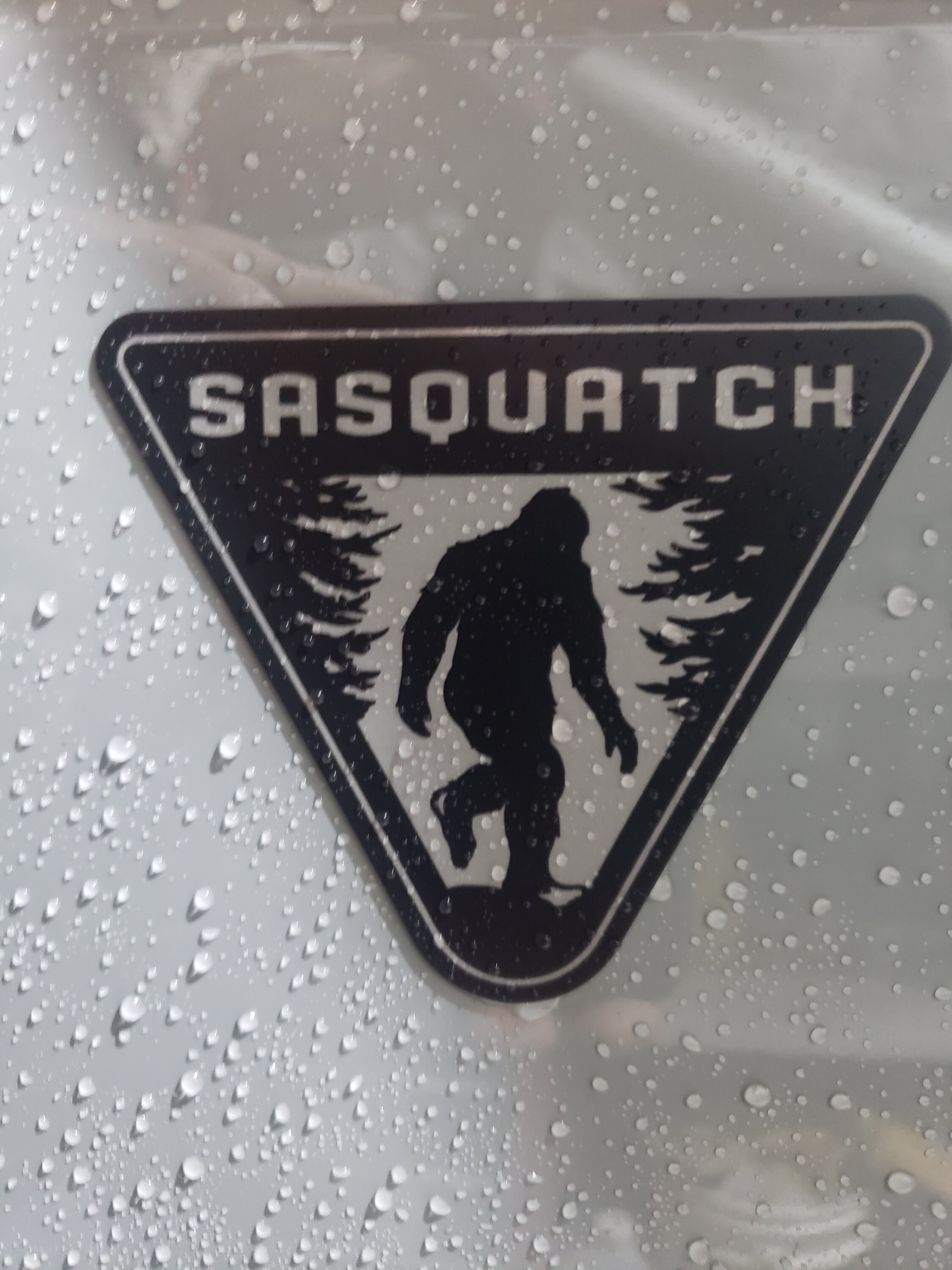Ford Bronco Show us your custom Sasquatch stickers, decals, badges..... 👣 20230110_092115