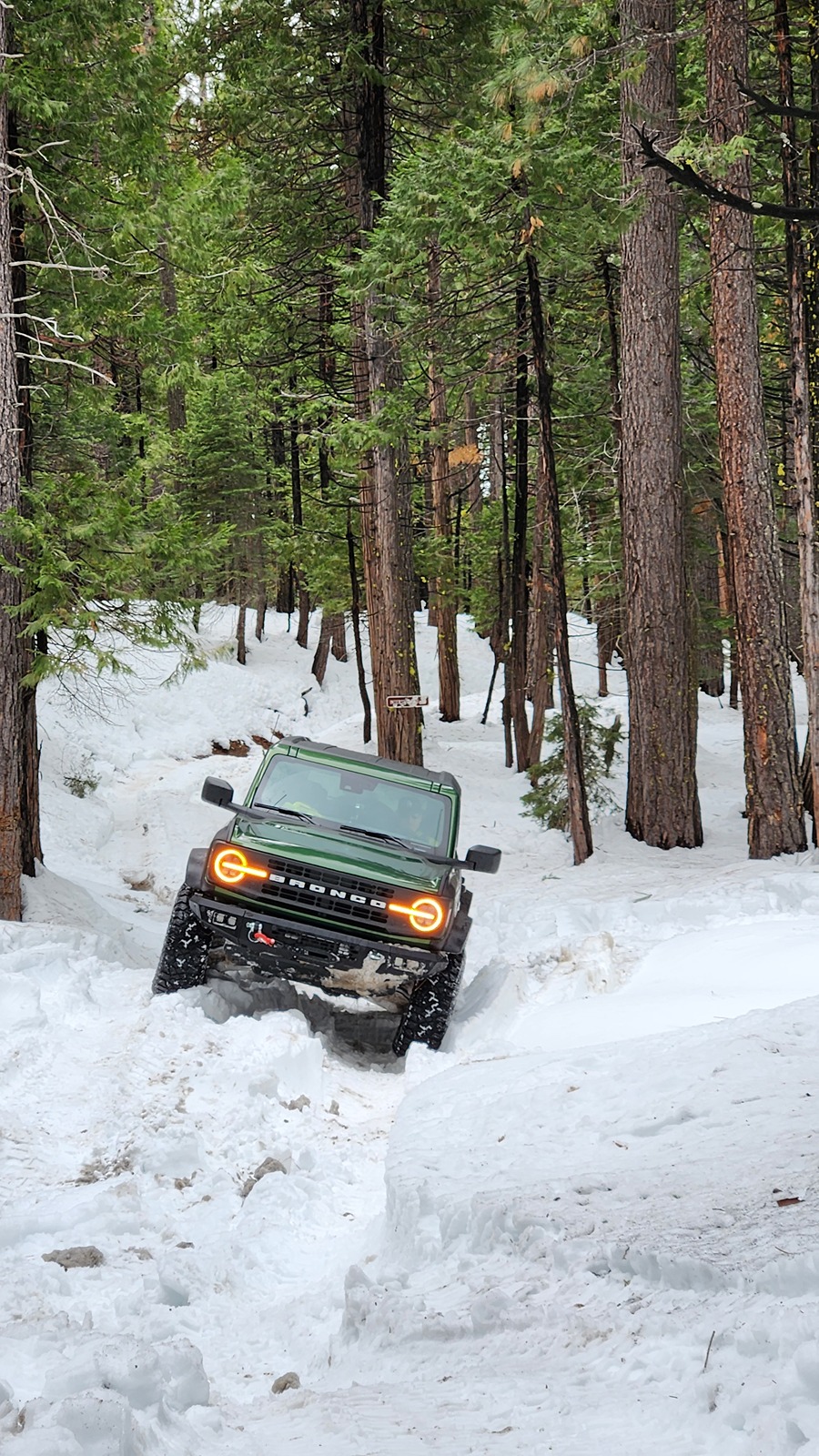 Ford Bronco ❄️❄️❄️❄️ Snow Day Saturday ❄️❄️❄️❄️❄️ 20240310_104355