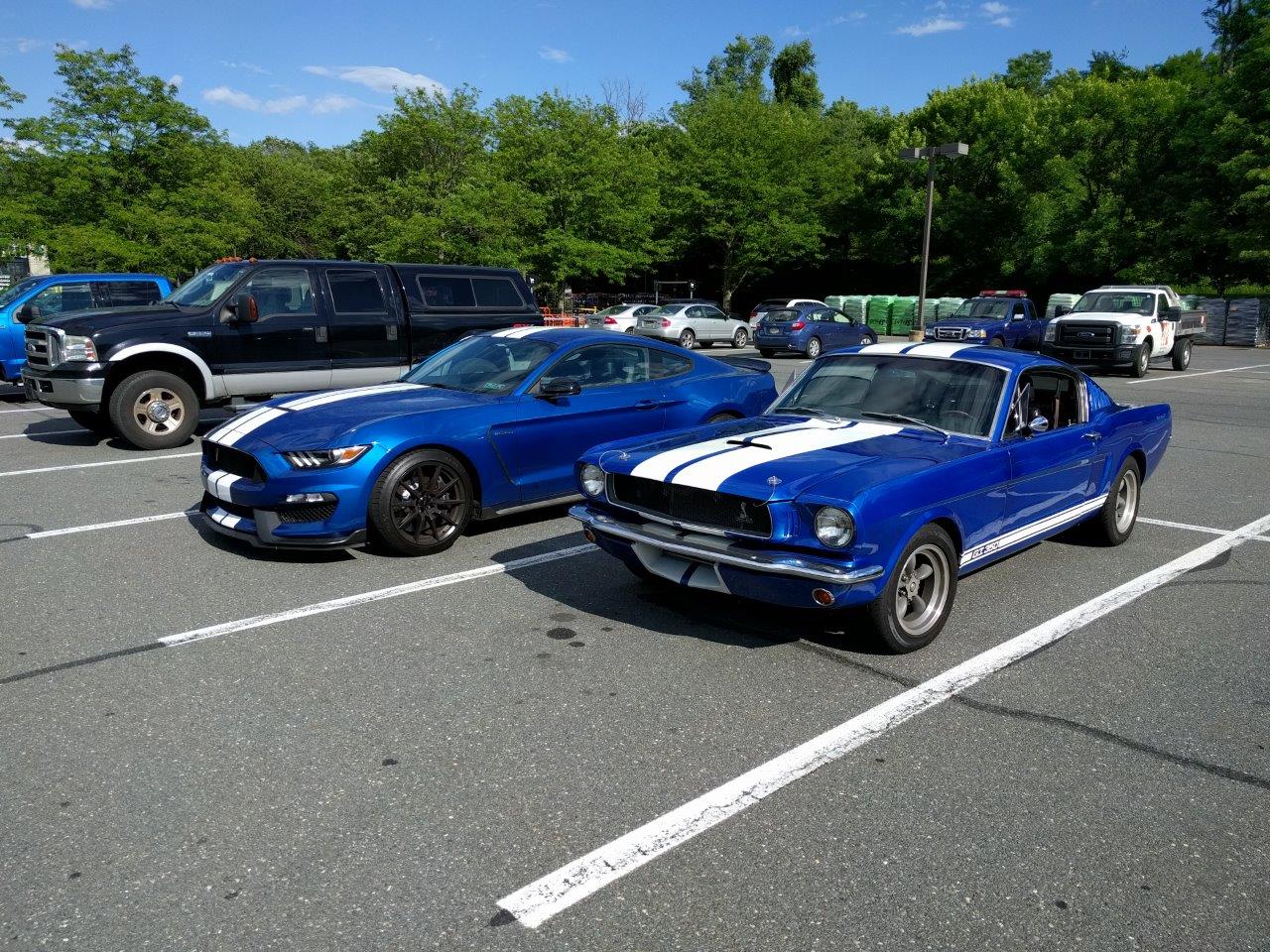 Ford Bronco Lightning Blue Painted Bronco Body 96C99CAA-16B2-4CD4-B0F8-355B5A276733