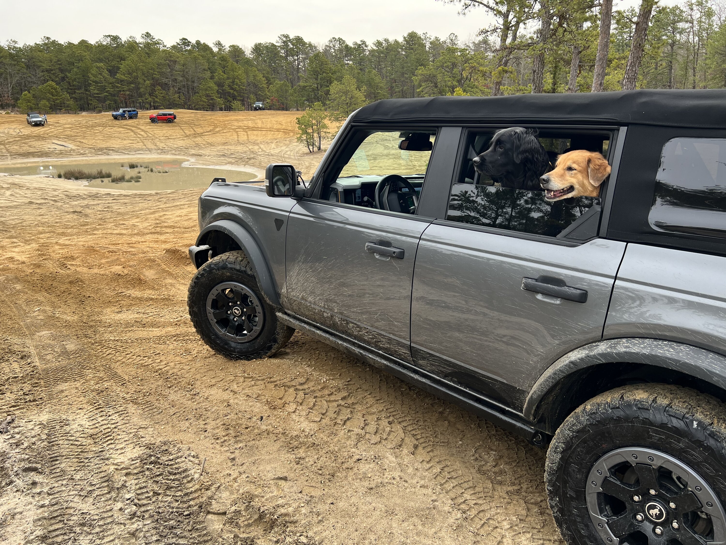 Ford Bronco 🐾 Show Us Your Dog + Bronco Photos! B2B7C117-855A-4D36-9F08-28583A1F5464