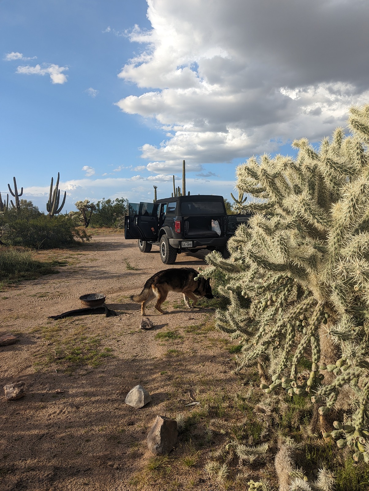 Ford Bronco Epic road trip, but had to say goodbye to my German Shepherd before we made it home BLM Near Tuscon