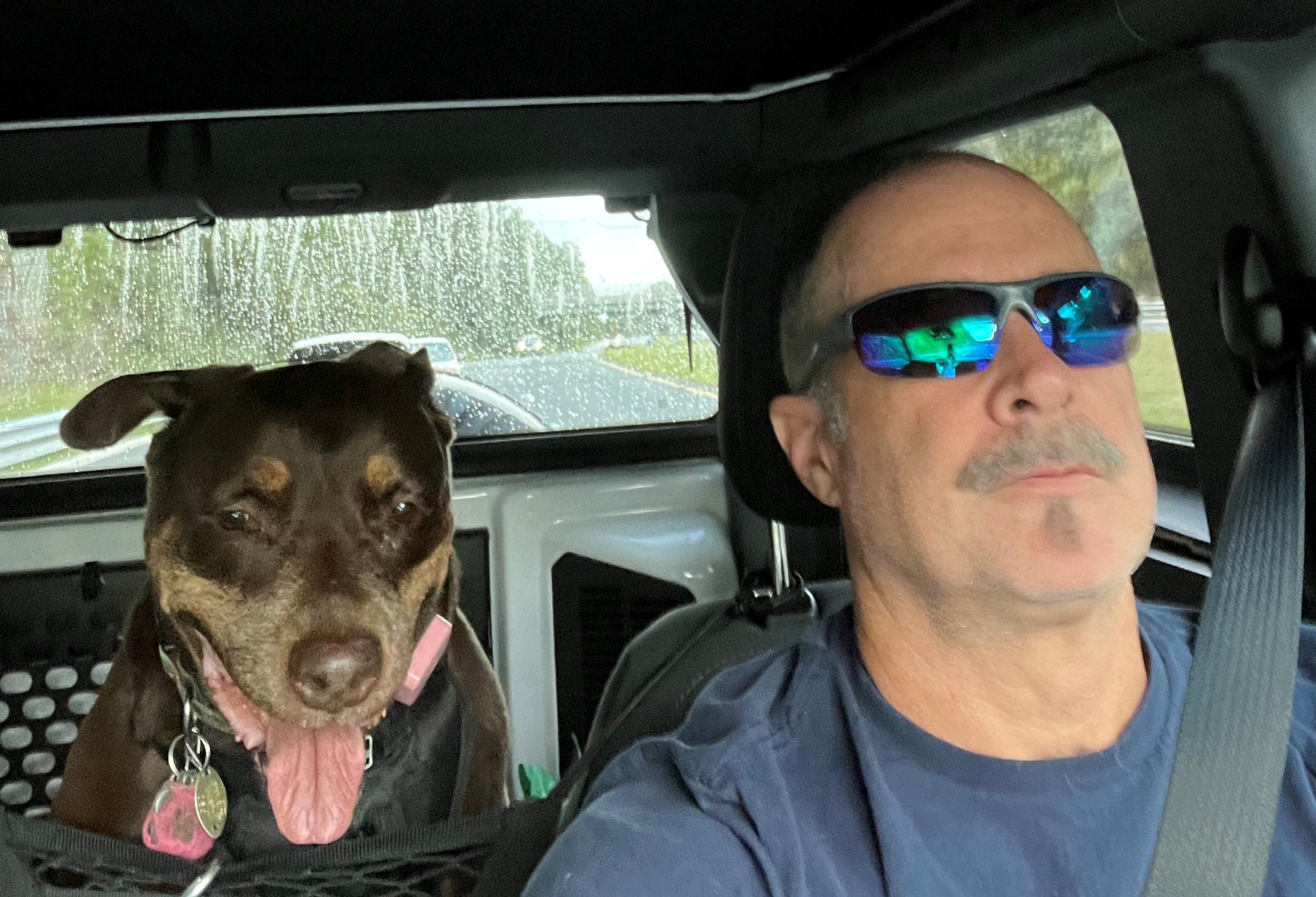 Ford Bronco 🐾 Show Us Your Dog + Bronco Photos! Bronx Road Trip 2