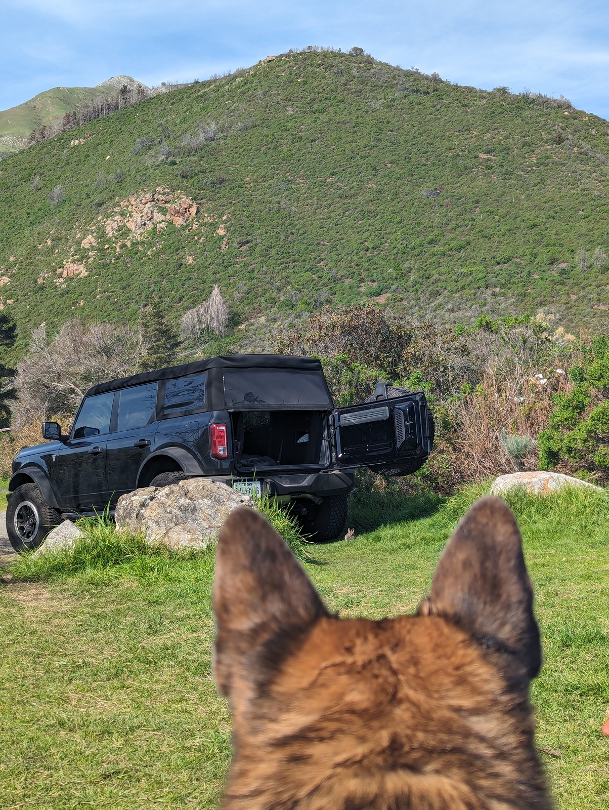 Ford Bronco Epic road trip, but had to say goodbye to my German Shepherd before we made it home PXL_20240328_153359776