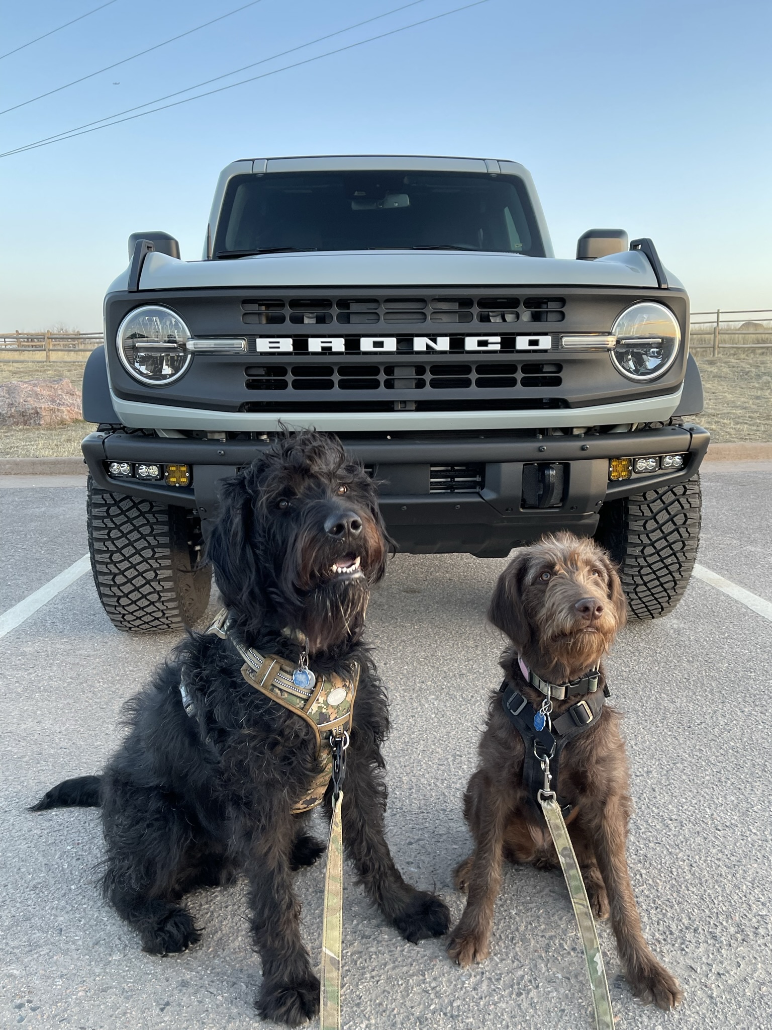 Ford Bronco 🐾 Show Us Your Dog + Bronco Photos! 20220505_143718