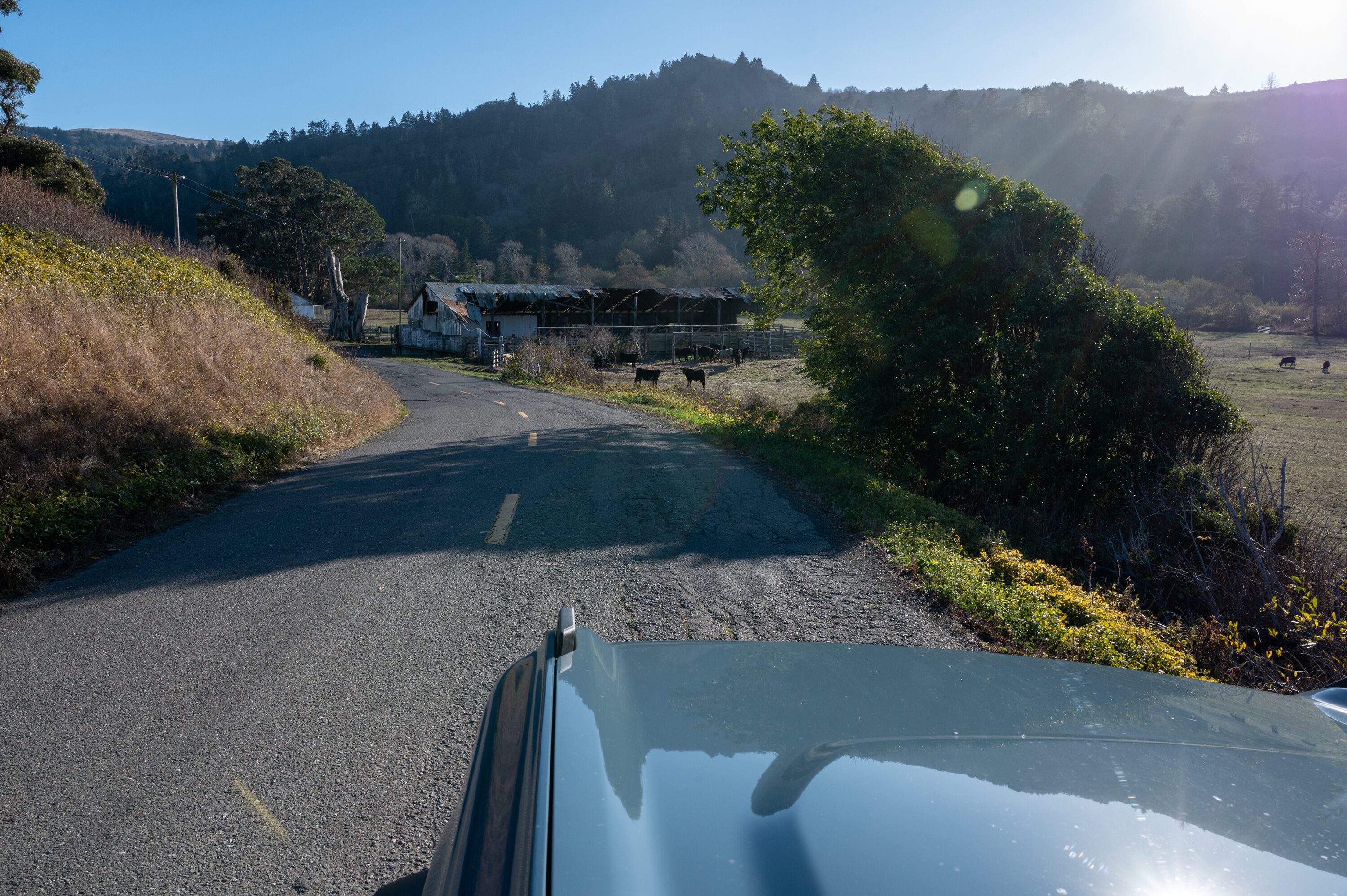 Ford Bronco Epic Roadtrip: Oregon to Los Angeles along US 101 & US 1 DSC_5538