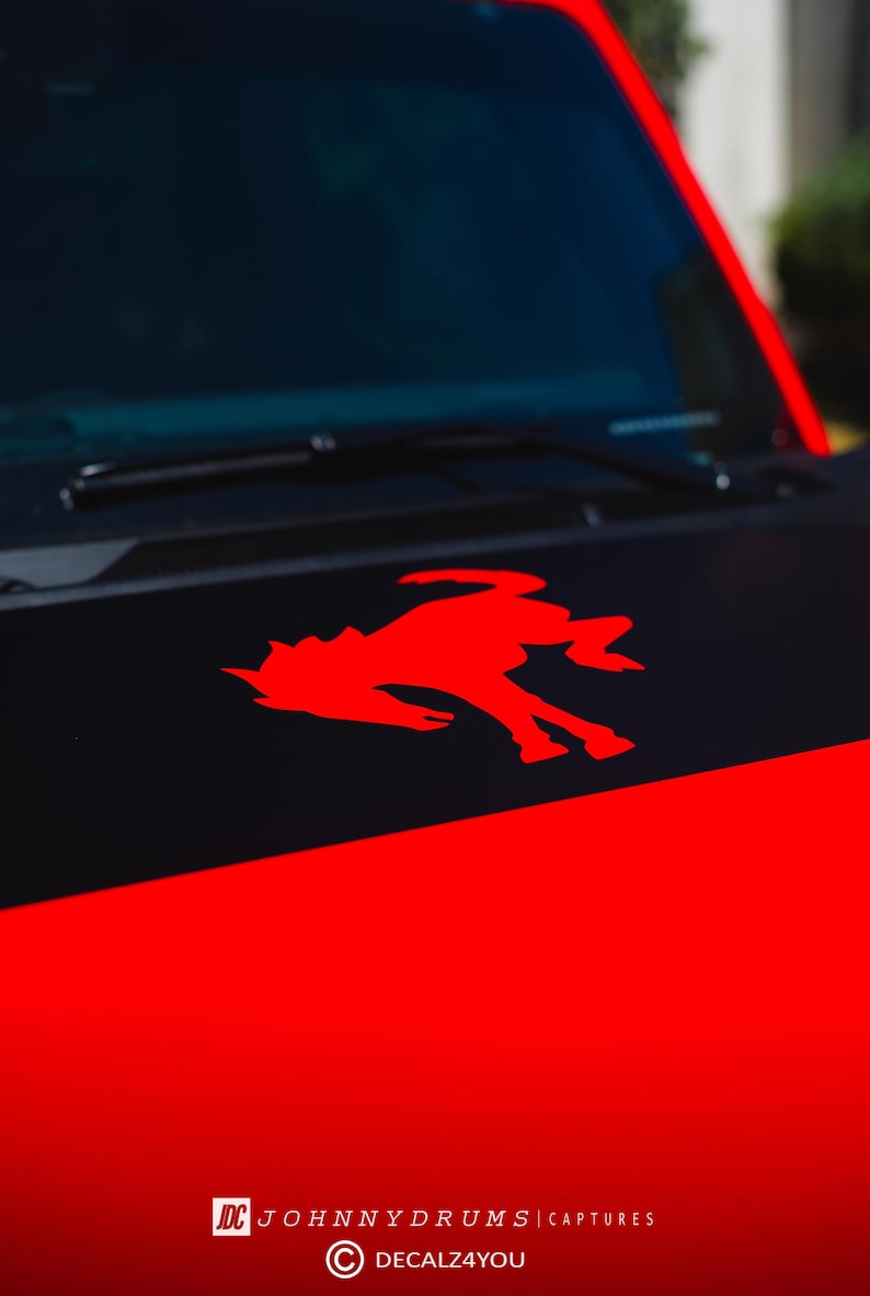 Ford Bronco Defective WildTrak Decal on hood of 2022 Sasquatch with 20K miles il_794xN.5268327571_sgec