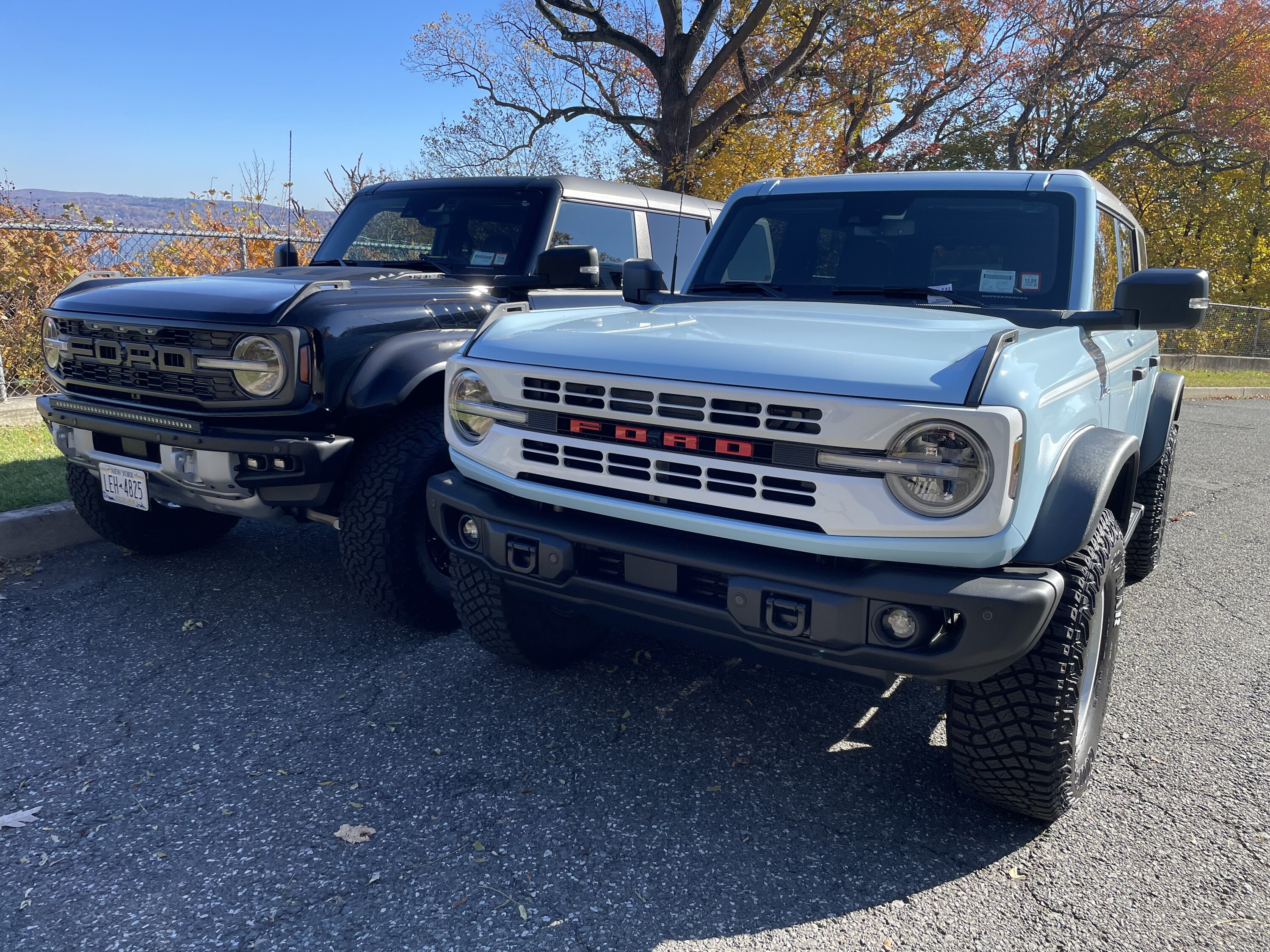 Ford Bronco Heritage dilemma IMG_5098
