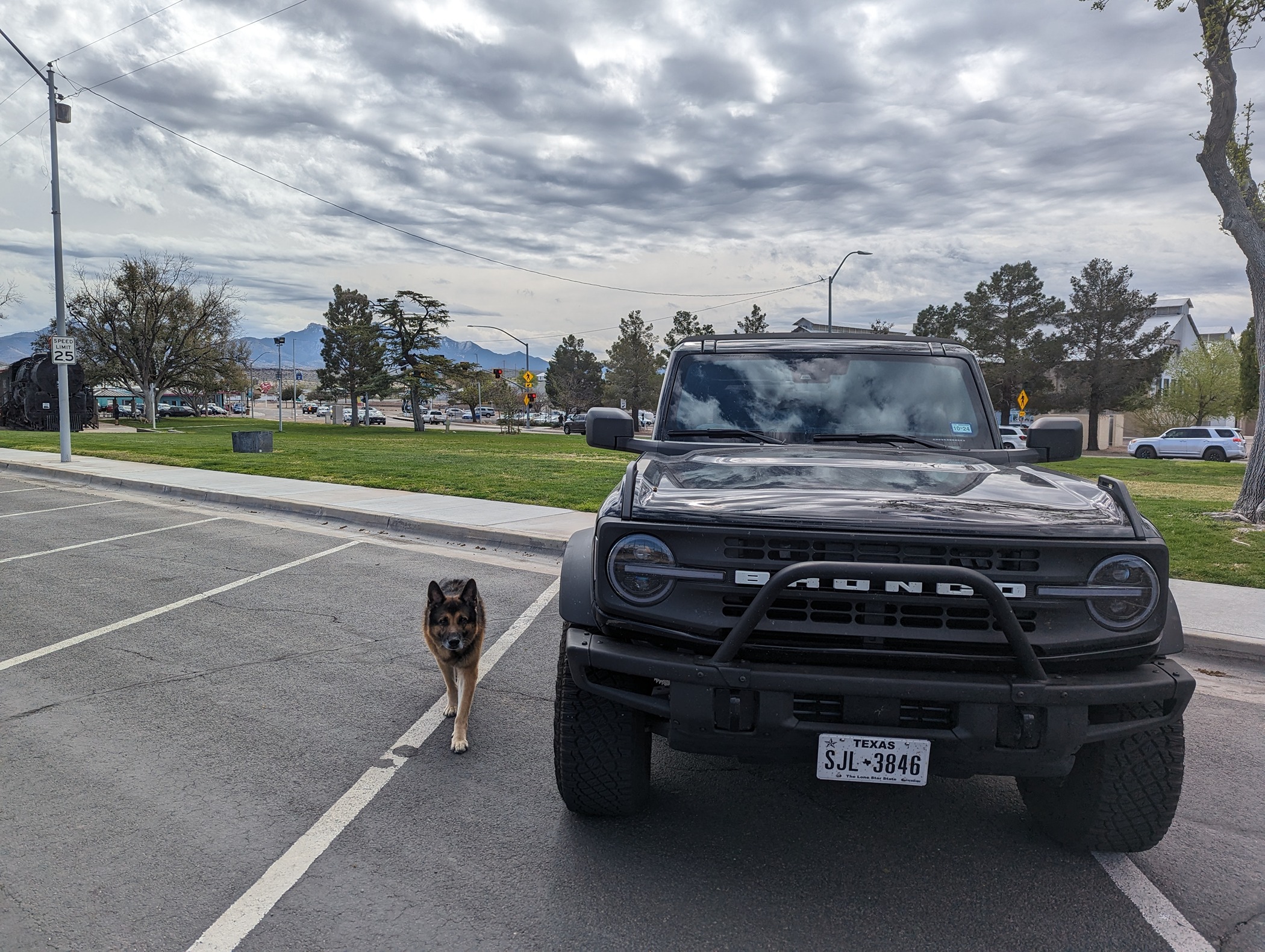 Ford Bronco Epic road trip, but had to say goodbye to my German Shepherd before we made it home PXL_20240328_153359776