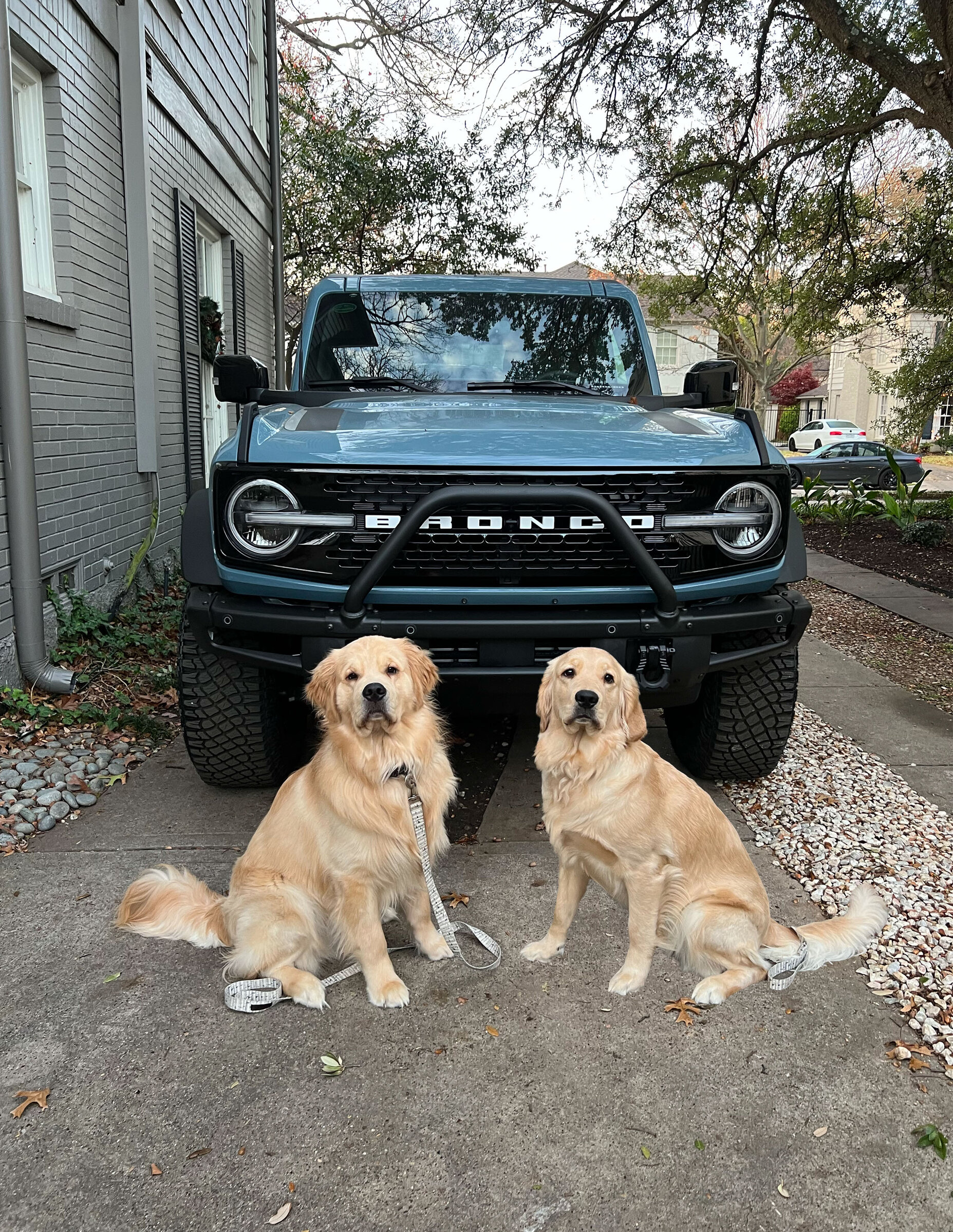 Ford Bronco Soft tops, Hard tops and Golden Retrievers. maya and murph
