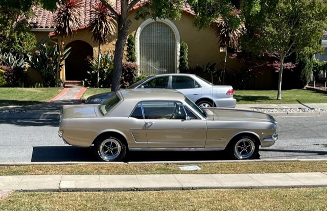 Mustang 6.jpg