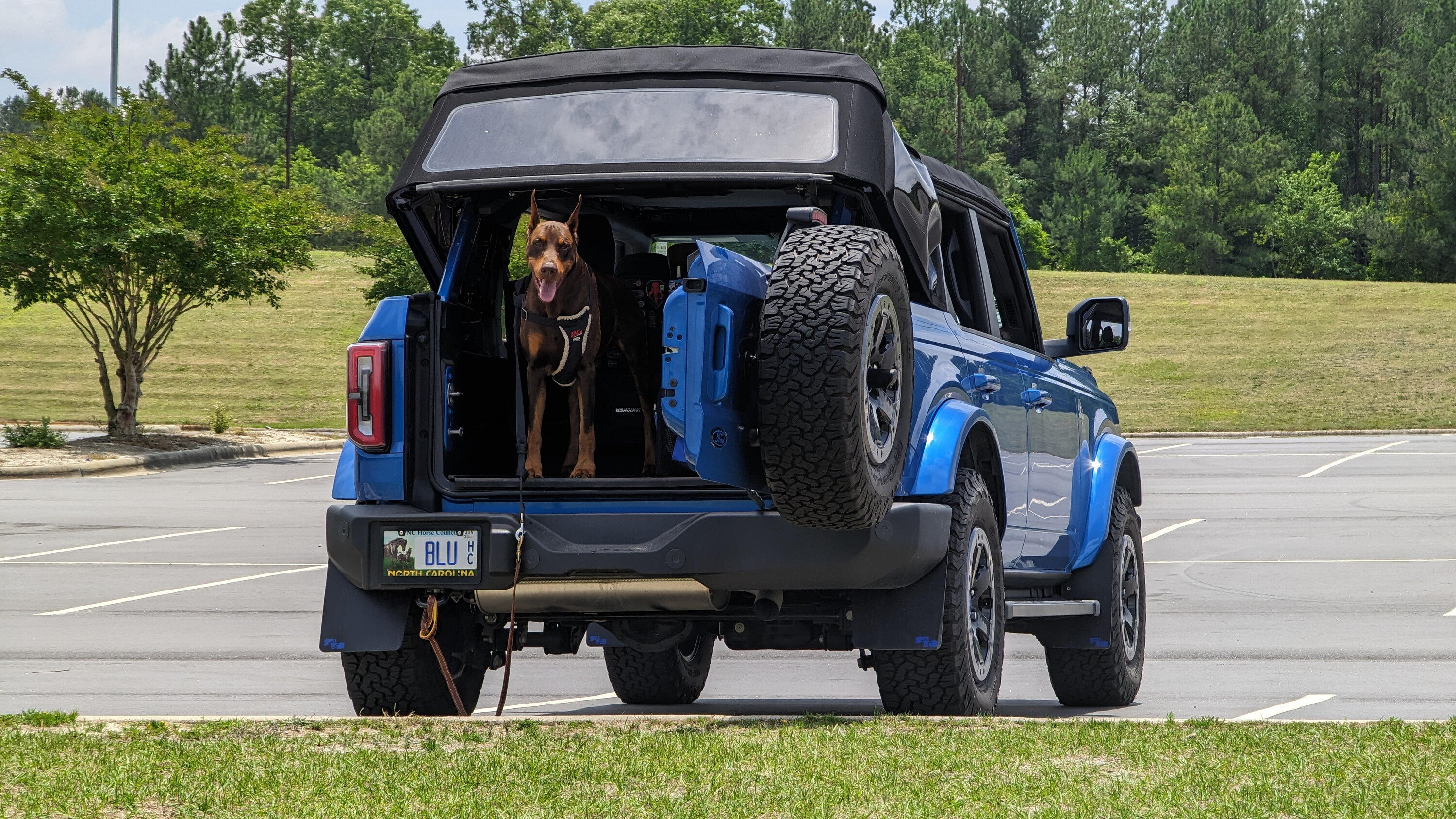 Ford Bronco 🐾 Show Us Your Dog + Bronco Photos! PXL_20230531_170450581