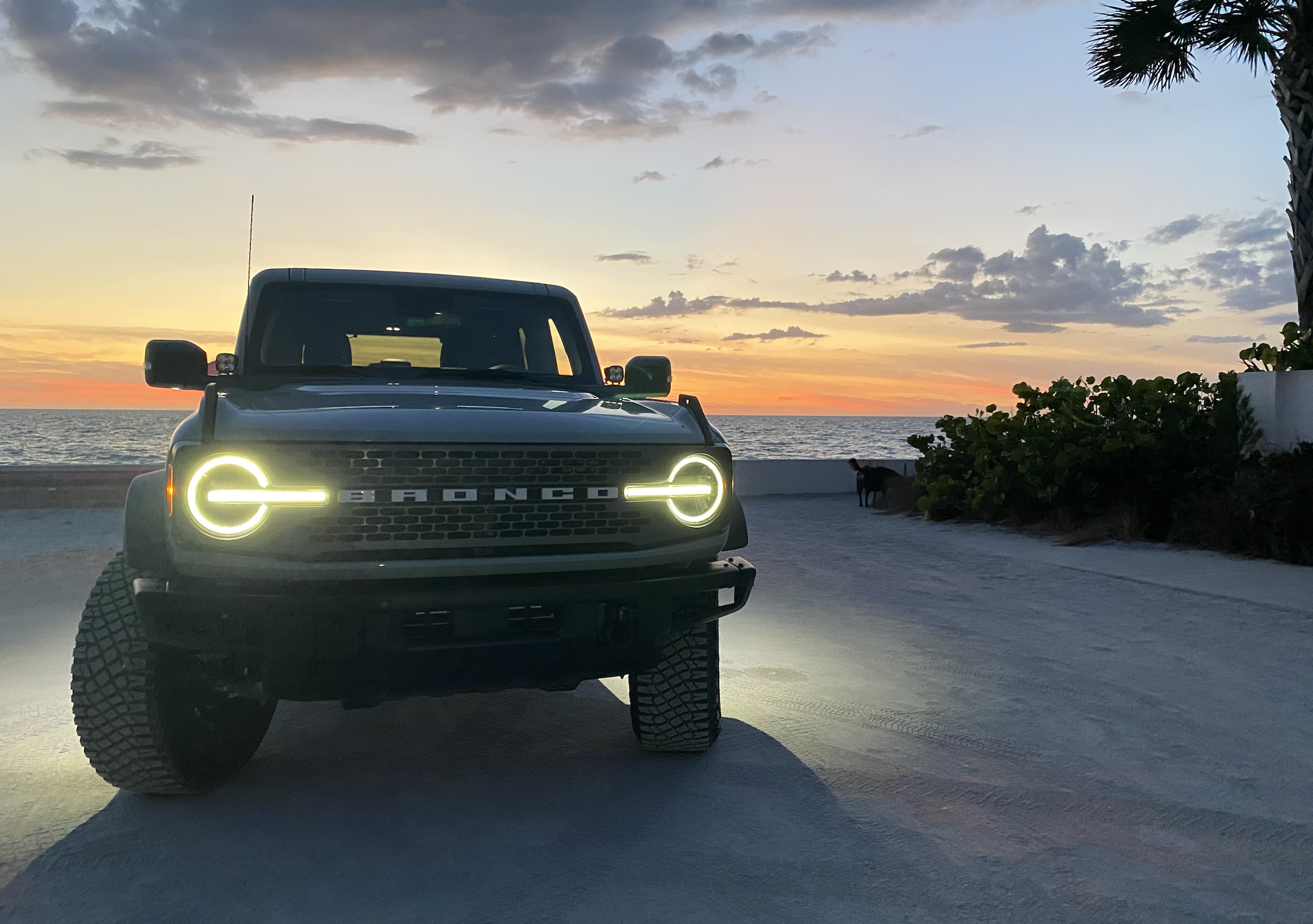 Ford Bronco Let’s see those beach pics! Screen Shot 2022-04-16 at 11.45.18 PM