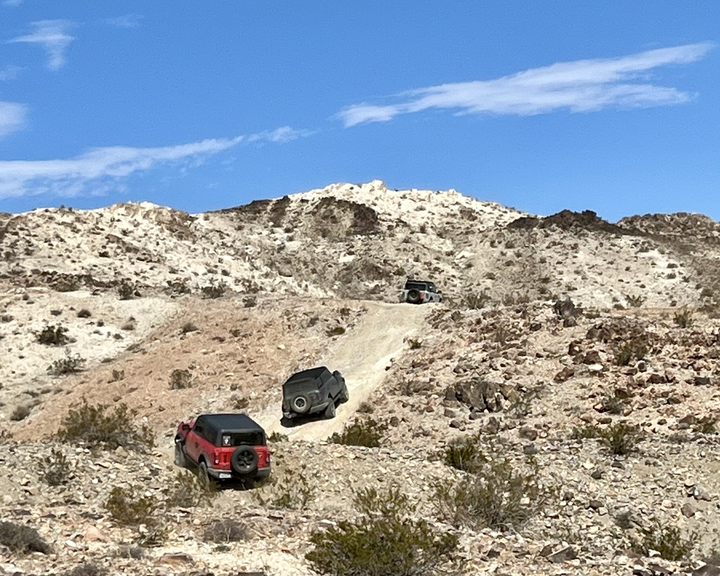 Ford Bronco Johnson Valley / Bronco Knoll Off-Roading With 25+ Broncos tempImage56eOQx