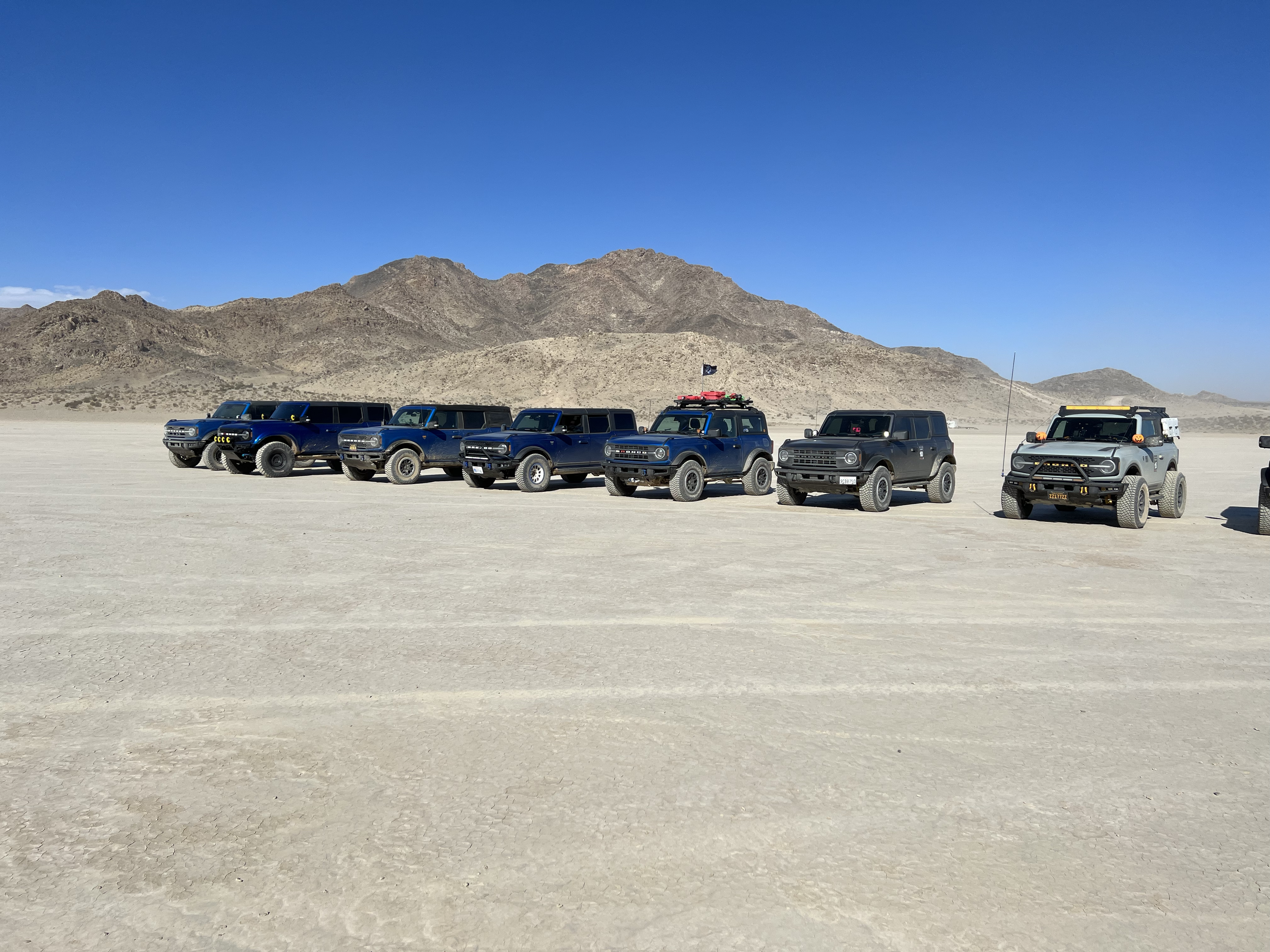 Ford Bronco Johnson Valley / Bronco Knoll Off-Roading With 25+ Broncos tempImage5MitT9