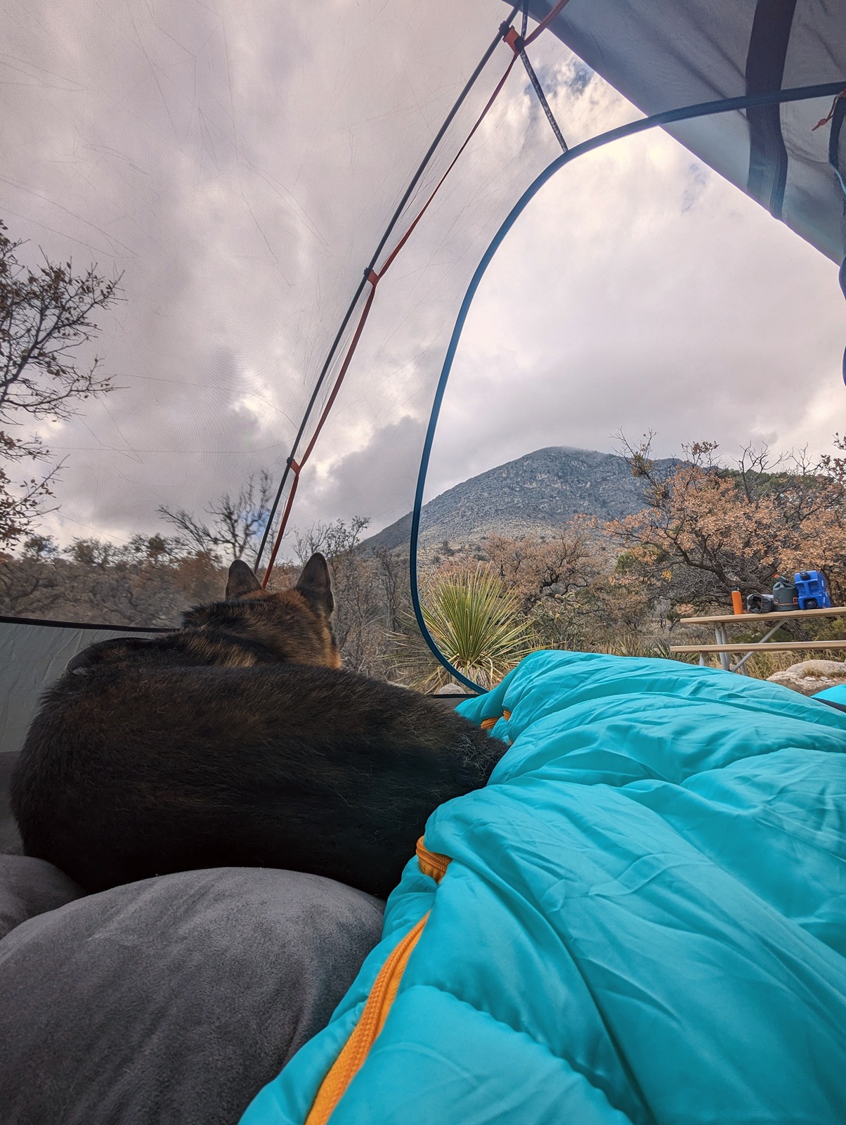 Tent Nap.jpg