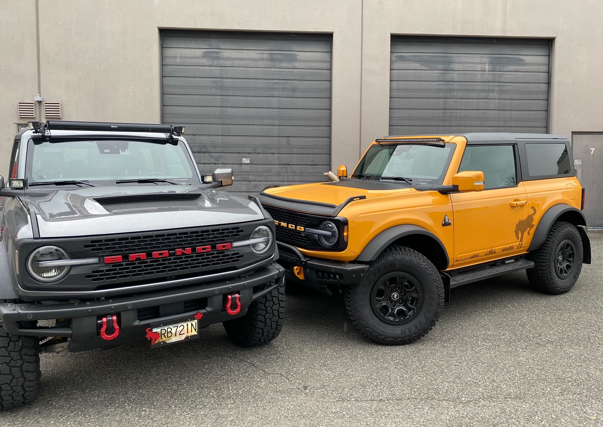 Red Line Oil  Bronco6G - 2021+ Ford Bronco & Bronco Raptor Forum, News,  Blog & Owners Community