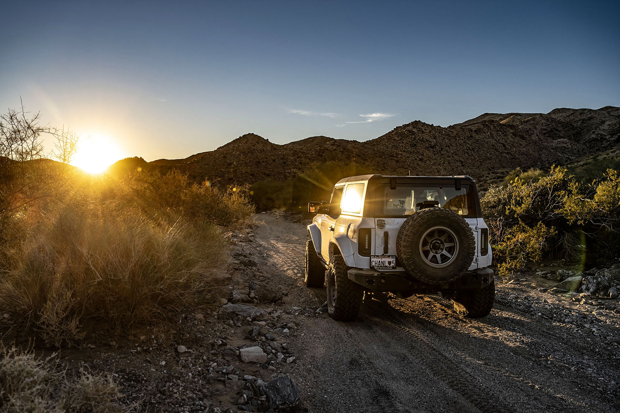 Pics and Video from Pinkham Canyon in Joshua Tree National Park ...